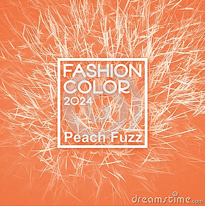 Peach background with grass and label. Fashion color of 2024 year. Banner for article and design Editorial Stock Photo