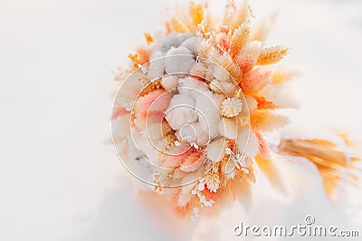 peach color dried flower bouquet from cereal ears cotton and craspedia on snow. reasonable consumption of natural materials Stock Photo
