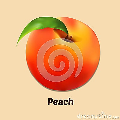 Whole Peach Fruit Vector Illustration Cartoon Illustration