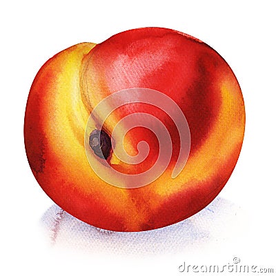 Peach fruit isolated on white Stock Photo