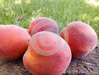 Peach on the grass Stock Photo