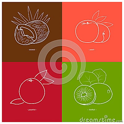 Peach,Kiwifruit, Coconut,Grapefruit Vector Illustration