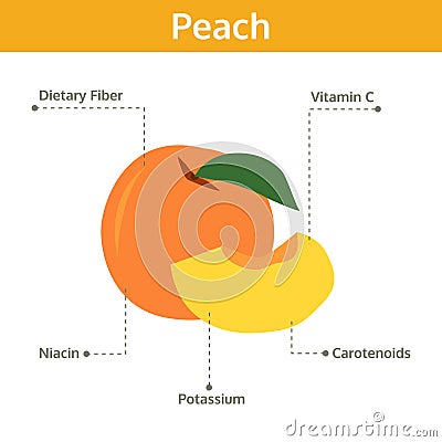 Peach nutrient of facts and health benefits, info graphic fruit Vector Illustration