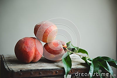 Peach Orchard 26 Stock Photo