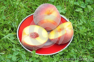 Peach in plate on grass Stock Photo