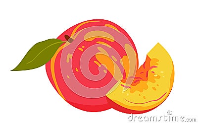 Peach ripe fruit with green leaf, isolated whole fresh peach or nectarine, cut in piece Vector Illustration