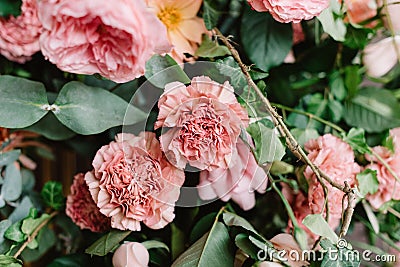 Gentle roses and gentle cloves decorate wedding arch. Beautiful wedding background Stock Photo