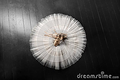 Pointe shoes and ballet tutu. Professional ballerina outfit. Stock Photo