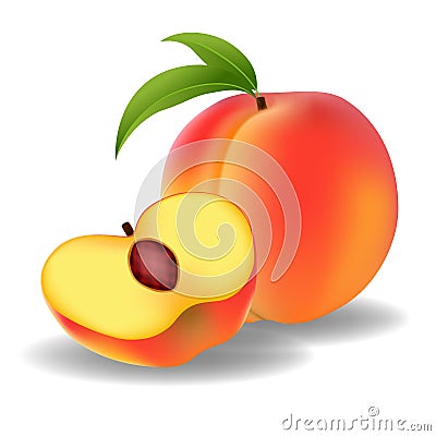 Peach And Slice Vector Illustration