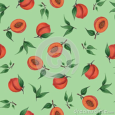 Peaches, apricots, nectarines with leaves on a soft green background. Seamless pattern. Watercolor illustration. For printing on Cartoon Illustration