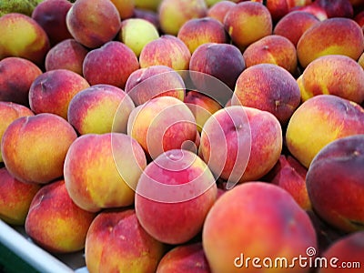 Peaches at farmers market Stock Photo