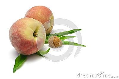 Peaches with Kernel Stock Photo