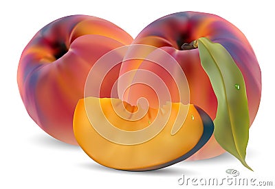 Peaches with leaves and slices Vector Illustration