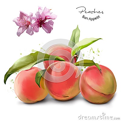 Peaches and splashes of watercolor painting Stock Photo