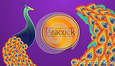 Peacock bird concept banner, cartoon style Vector Illustration