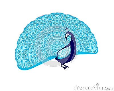 Peacock bird with patterned tail. Vector Illustration