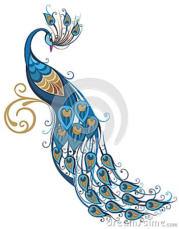 Peacock Vector Illustration