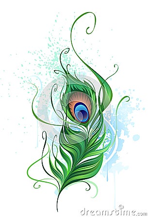 Peacock feather Vector Illustration