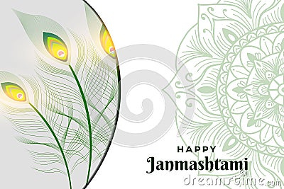 peacock feather background illustration for Janmashtami Festival Vector Illustration