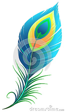 Peacock feather Vector Illustration