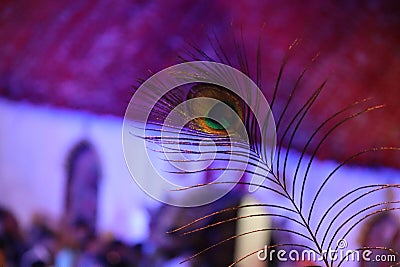 peacock feather in kamakhya temple assam india Stock Photo