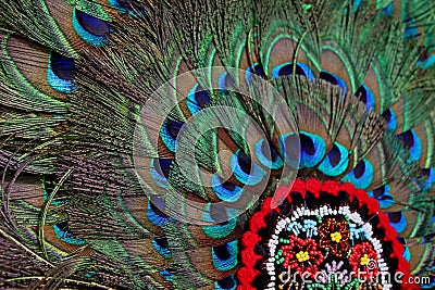 Peacock feathers Stock Photo