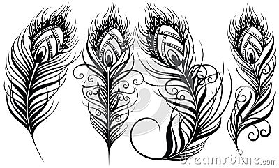 Peacock feathers. Exotic bird feathers vector illustration Vector Illustration