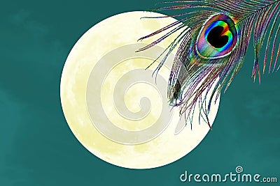 Peacock feathers in moon background with text copy space Stock Photo