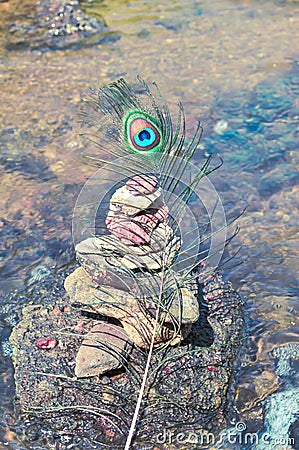 peacock feathers on stone and beautiful water backgrouund Stock Photo