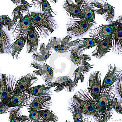 Peacock feathers on white background. Seamless background. A collage of feathers. Use printed materials, signs, objects, websites, Stock Photo