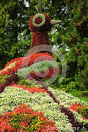 Peacock II: Mainau Botanical Gardens Editorial Stock Photo