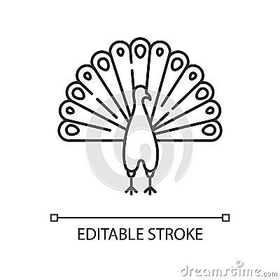 Peacock pixel perfect linear icon Vector Illustration