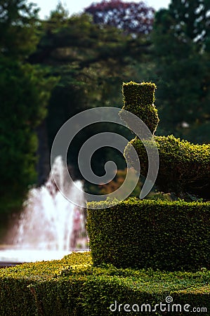 Peacock shaped hedge topiary and water fountain at outdoors garden park Stock Photo