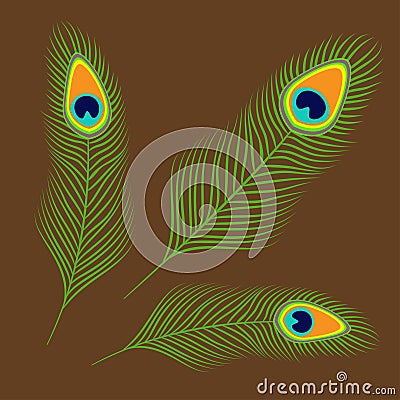Peacock three feather set collection. Exotic tropical bird colorful tail. Isolated. Brown background. Flat design. Vector Illustration