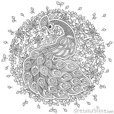 Peacock in zentangle style. Adult antistress coloring page. Vector Illustration