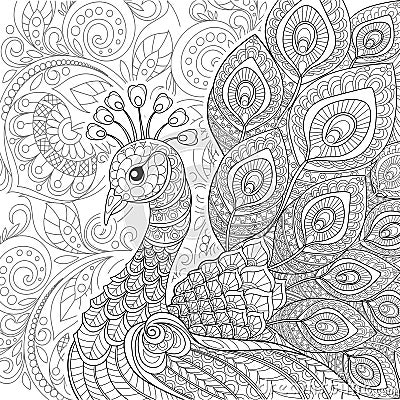 Peacock in zentangle style. Adult antistress coloring page Vector Illustration