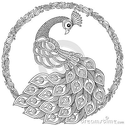 Peacock in zentangle style. Adult antistress coloring page. Stock Photo