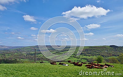 Peak District Northern England Stock Photo