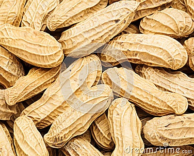 Peanut close up Stock Photo