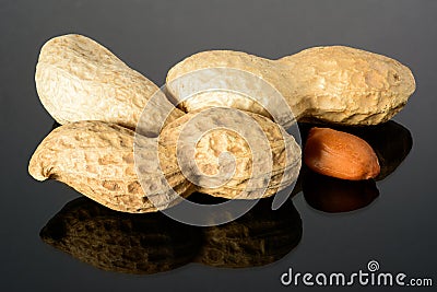 Peanut on glossy grey surface with reflection. Three whole real peanut with kernel macro close-up, high resolution full depth of Stock Photo
