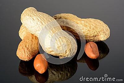 Peanut on glossy grey surface with reflection. Three whole real peanut with two kernels macro close-up, high resolution full depth Stock Photo