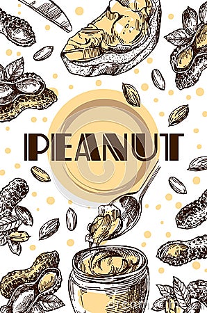 Peanut sketch illustration. Hand drawn beautiful set of groundnut. Vector Illustration