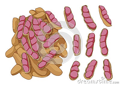 boiled Peanut on white background Vector Illustration