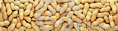 Peanuts Stock Photo