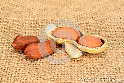 Peanuts. Real whole nuts with kernels in shell on jute burlap background. Peanut macro close up. Full depth of field. Stock Photo