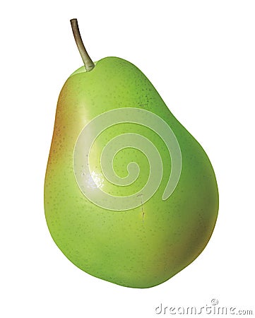 Pear Cartoon Illustration