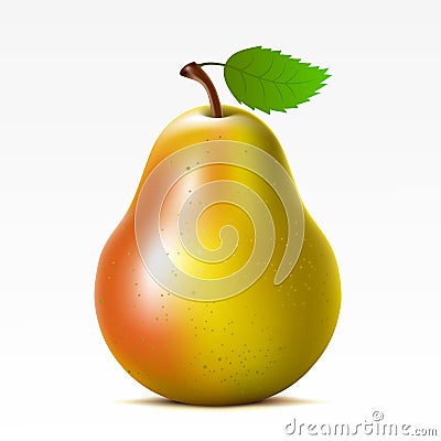 Pear Vector Illustration