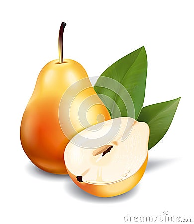 Pear Vector Illustration