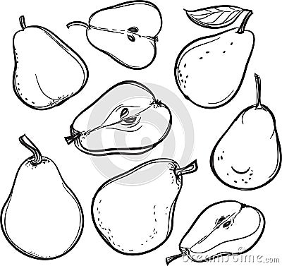 Pear. Line drawing of a pear. Vector Illustration