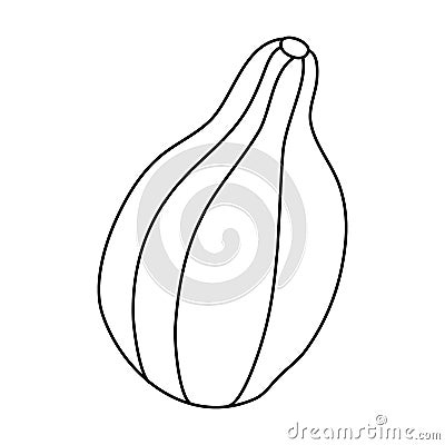 Pear shaped pumpkin in doodle style. Vector Illustration